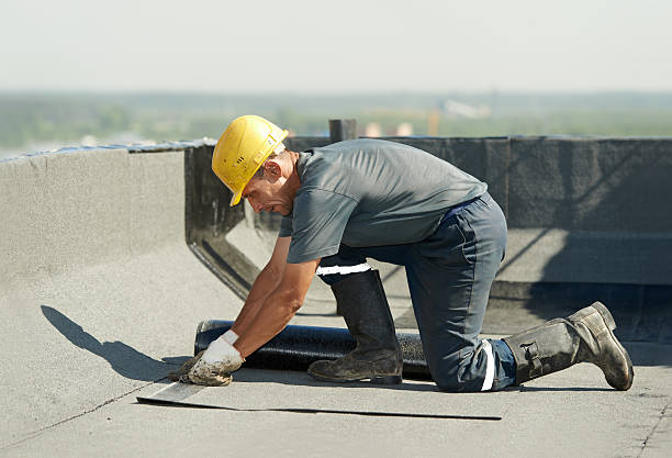 Best Specialty Insulation in Lone Oak, TN